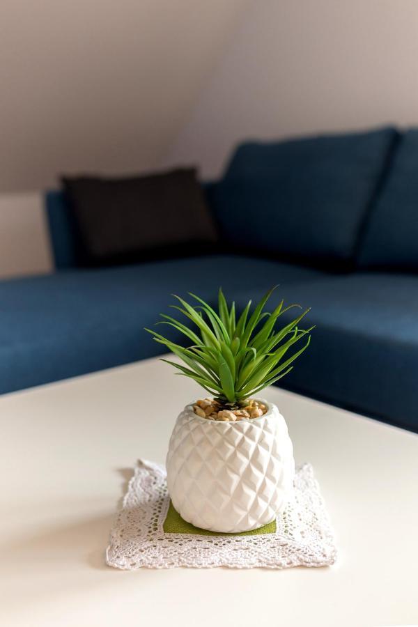 Apartmaji Rupnik Bohinjska Bistrica Εξωτερικό φωτογραφία